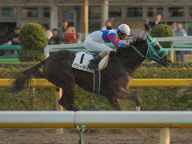 2007/10/20 東京12R