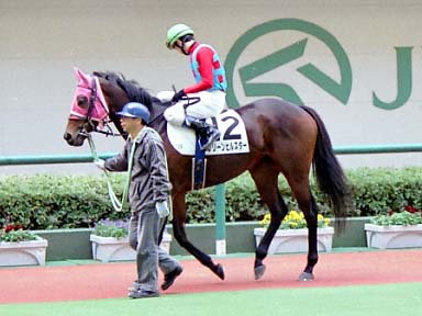 2001/11/18 ����12R