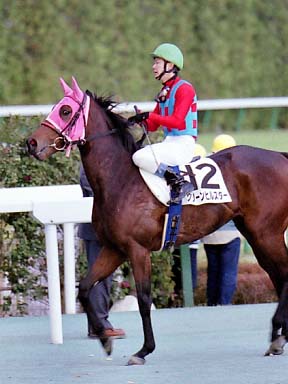 2001/11/18 ����12R