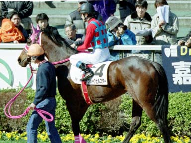 2002/02/16 ����07R