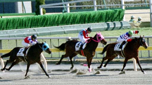 2002/02/16 ����07R