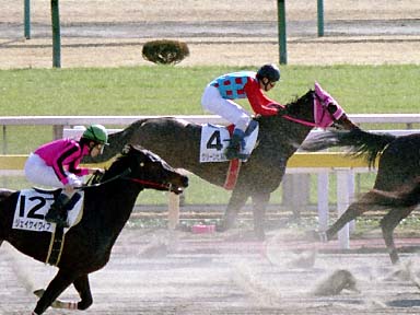 2002/02/16 ����07R