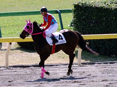 2002/02/16 ����07R