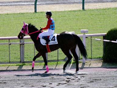 2002/02/16 ����07R