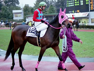 2002/12/21 ����12R