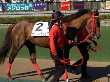 2010/02/20 東京08R