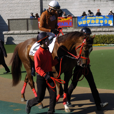 2010/02/20 東京08R