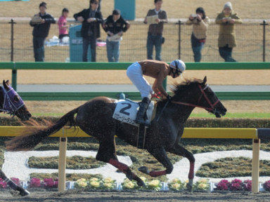 2010/02/20 東京08R