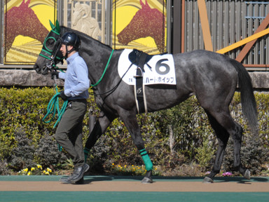 2023/02/18 東京07R