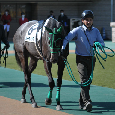 2023/02/18 東京07R