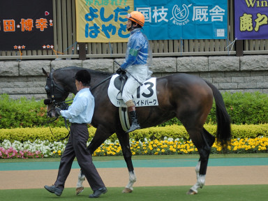 2008/05/11 東京07R