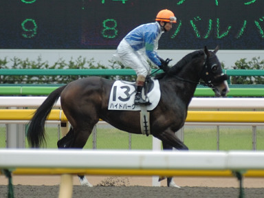 2008/05/11 東京07R