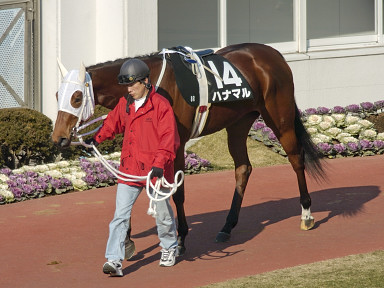 2004/01/10 R08R