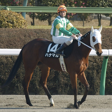 2004/01/10 R08R