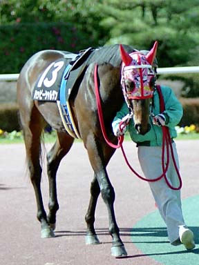 2002/03/09 中京09R