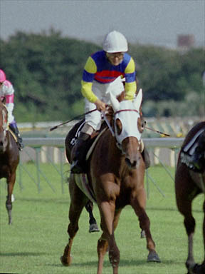 2000/10/14 東京08R