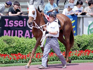 2001/05/06 東京08R