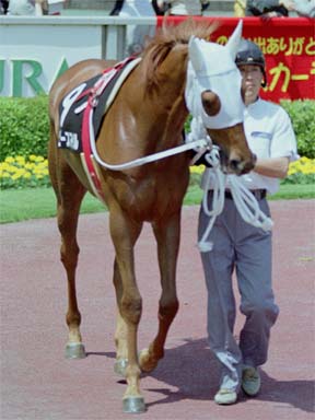 2001/05/06 東京08R