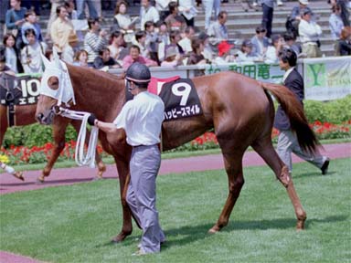 2001/05/06 東京08R