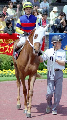 2001/05/06 東京08R