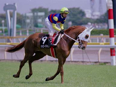 2001/05/06 東京08R