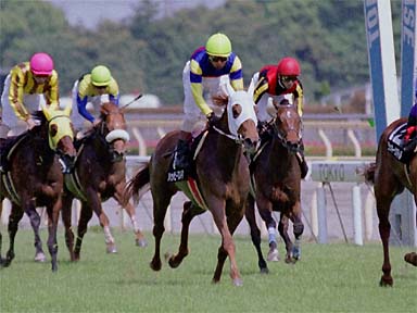2001/05/06 東京08R