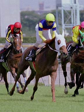 2001/05/06 東京08R