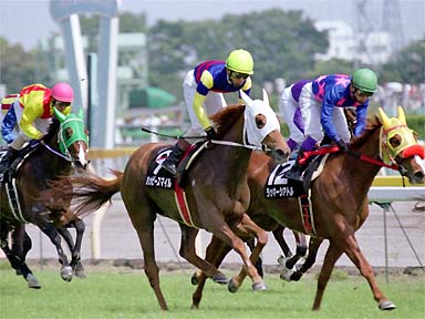 2001/05/06 東京08R