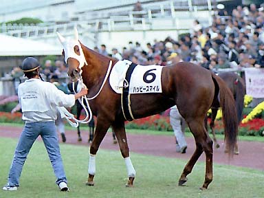 2001/11/17 東京12R