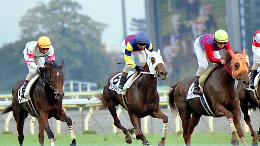 2001/11/17 東京12R