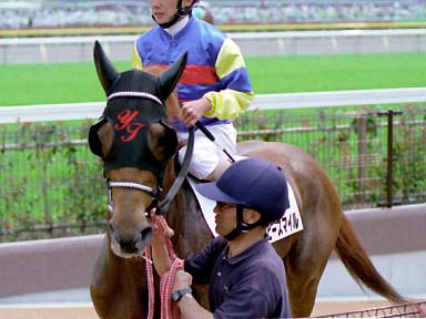 2003/05/24 東京08R