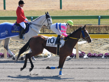 2012/02/19 東京06R