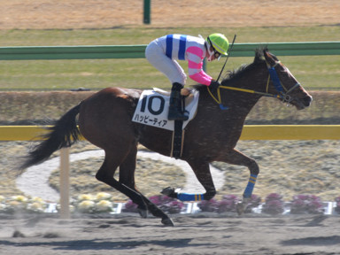 2012/02/19 東京06R