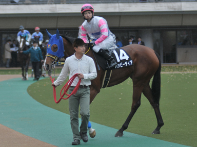 2012/11/17 東京08R