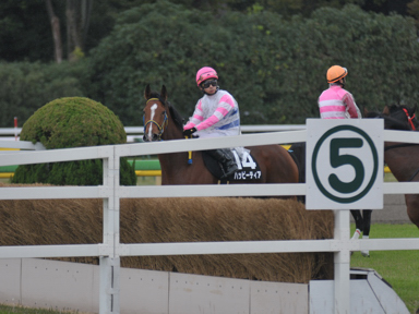 2012/11/17 東京08R