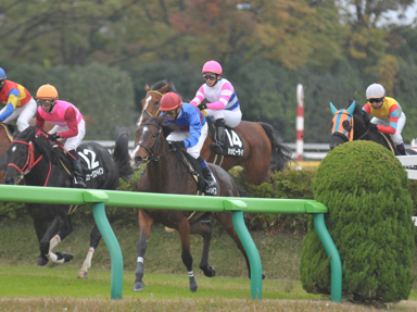 2012/11/17 東京08R