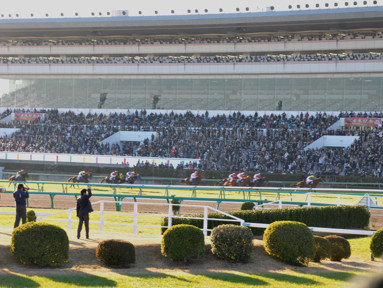 2012/12/21 中山10R