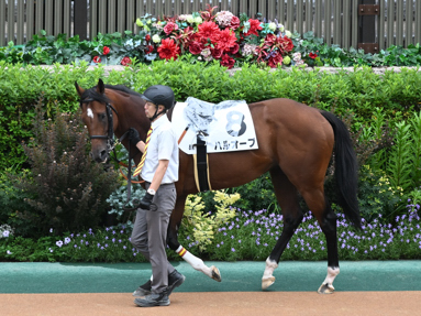 2025/06/14 東京08R