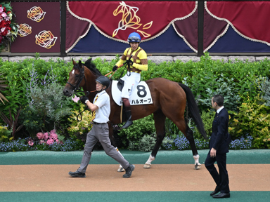 2025/06/14 東京08R