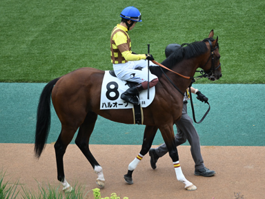 2025/06/14 東京08R