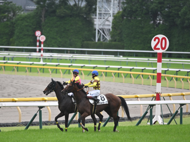 2025/06/14 東京08R