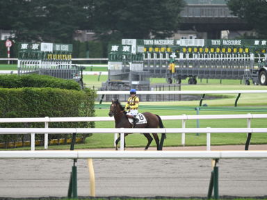 2025/06/14 東京08R