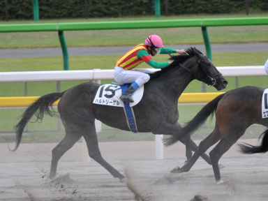 2013/07/01 東京07R