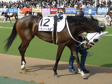 2004/02/22 東京07R