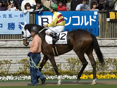 2004/02/22 東京07R