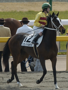 2004/02/22 東京07R