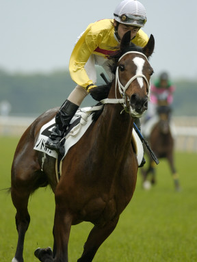 22004/05/09 東京07R