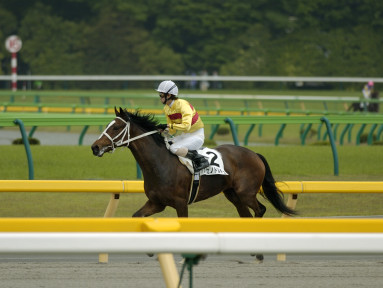 22004/05/09 東京07R