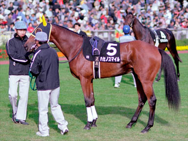 2000/11/04 東京09R