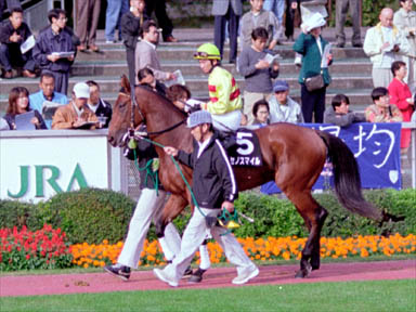 2000/11/04 東京09R